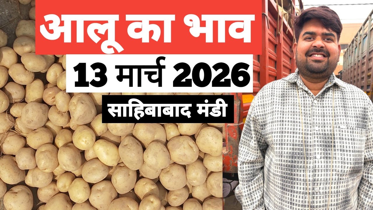 13 March 2026 🥔 आलू का भाव साहिबाबाद मंडी ।। Today Potato Rate in Sahibabad Mandi || Bharat ke Bazar
