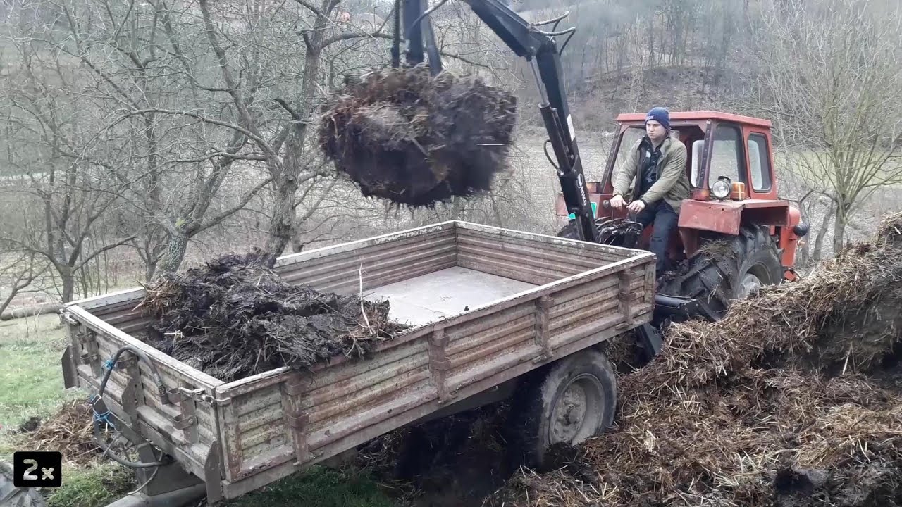 Vuča stajskog đubreta sa 8 traktora-drugi deo