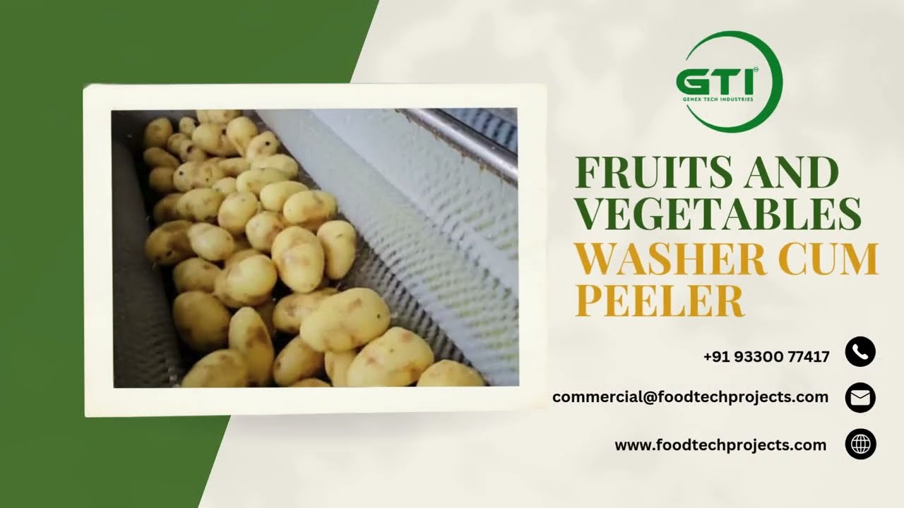 Fruits and vegetable washer cum peeler | Automatic Vegetable washer | Fruits washer cum Peeler