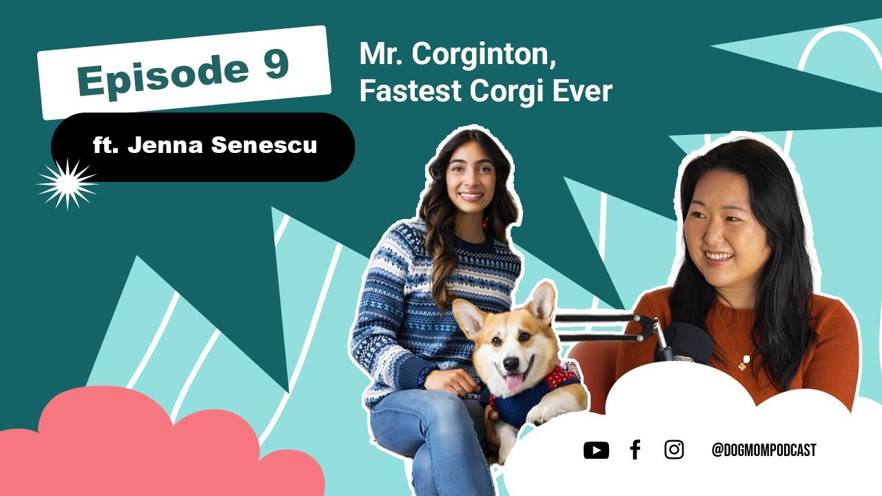 The Fastest Corgi Ever? ft. Jenna Senescu || Dog Mom Podcast S2 E09