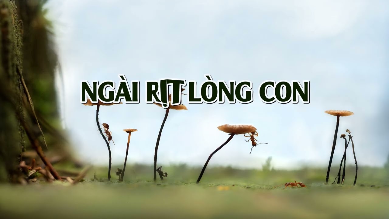 NGÀI RỊT LÒNG CON  (Beat) - Nhạc Thánh Tin Lành