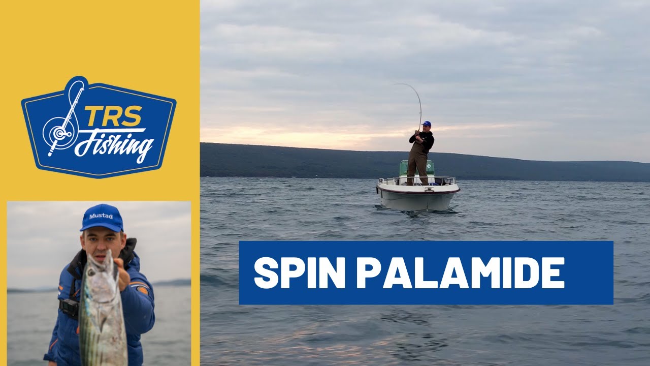 Spin Palamide - Dron + GoPro