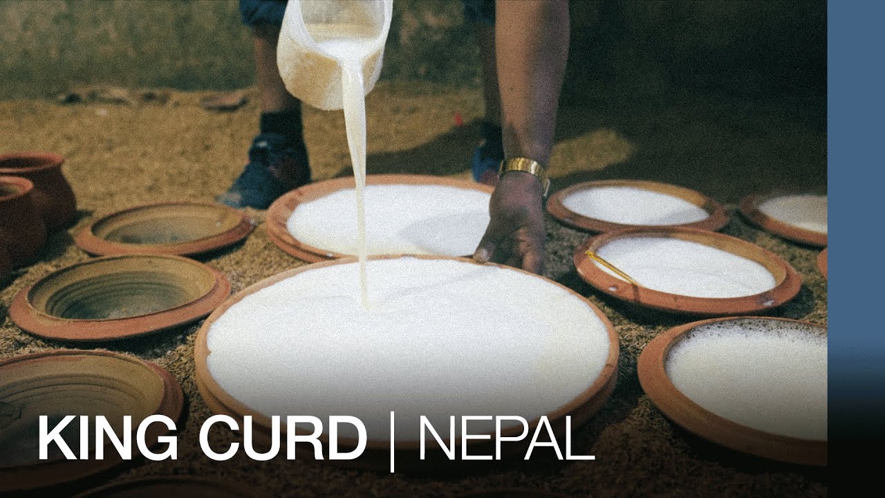 King curd | Nepal