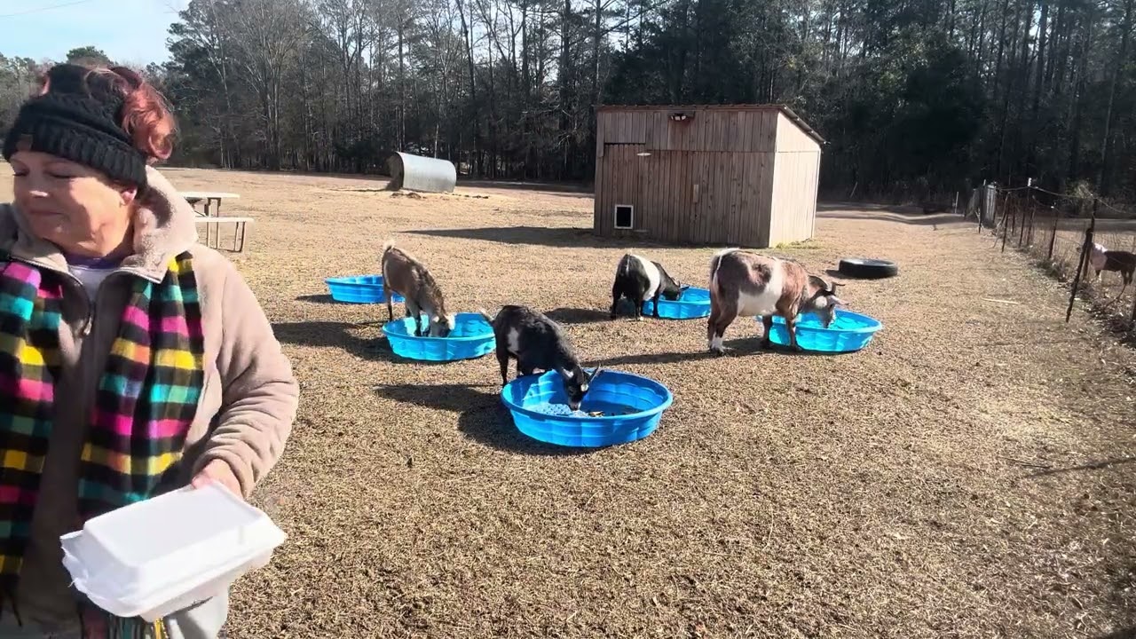 Their favorite Nachos  for breakfast !