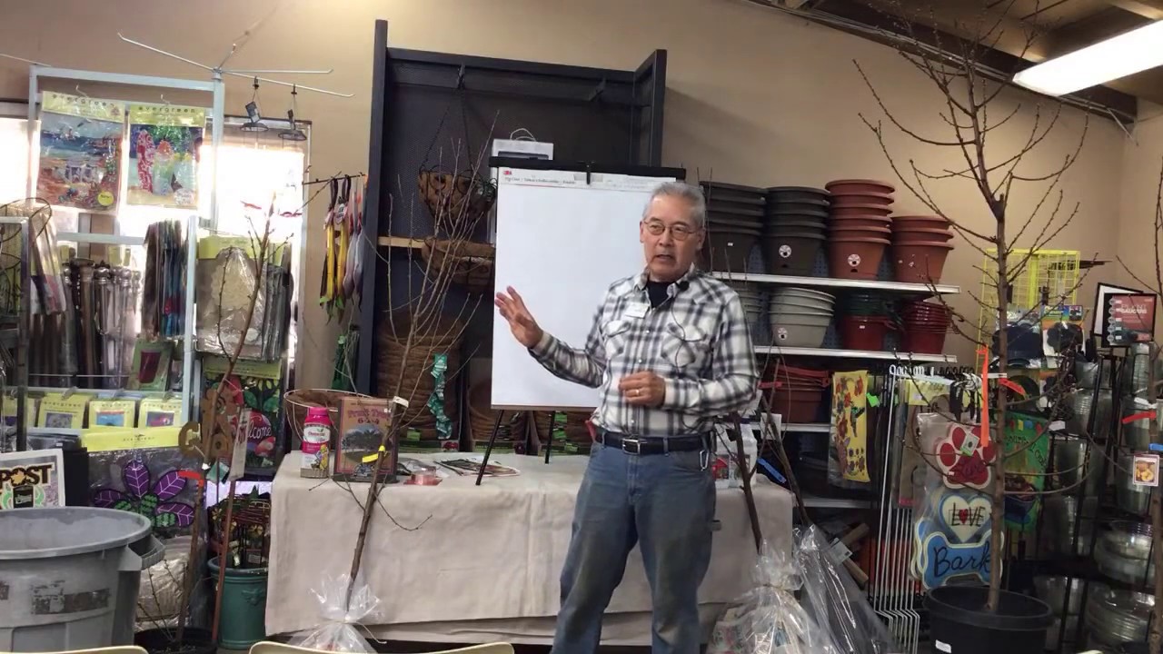 Growing Peaches & Nectarines | LIVESTREAM