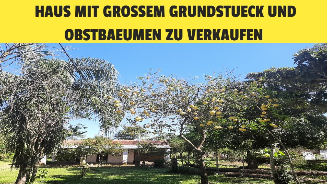 Immobilienobjekt mit Obstbäumen und 1,8 Hektar Land in Paraguay wurde für 25.000 Euro schon verkauft