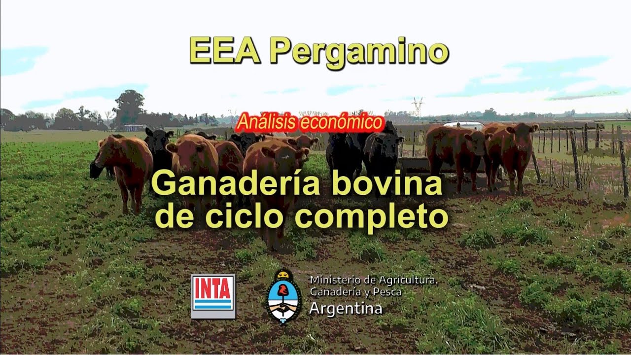 Análisis de ciclo completo ganadería bovina