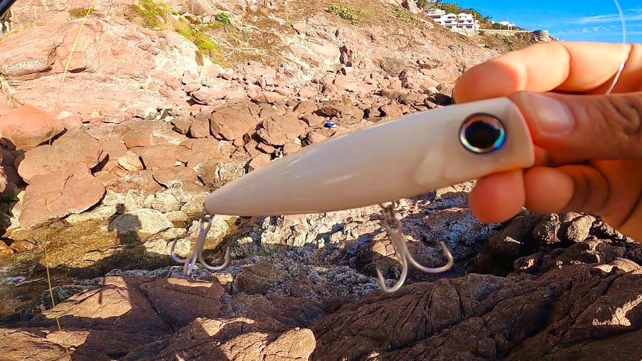 Pesca con POPPER de ORILLA🔥|| ataques a superficie🎣