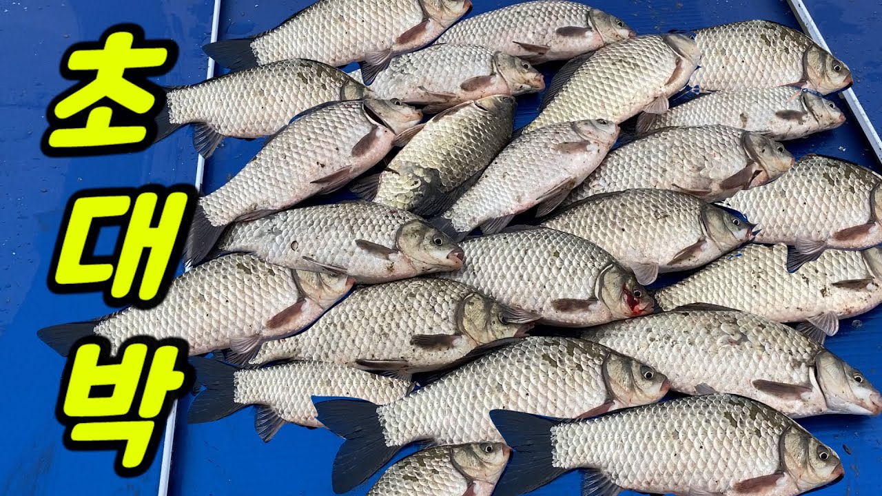 Can you believe this? Fantastic Fishing spot!