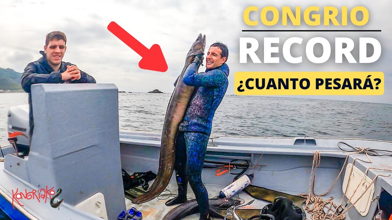 ✅PESCA SUBMARINA⚠️CONGRIO RECORD🔥¿Cuánto Pesará?