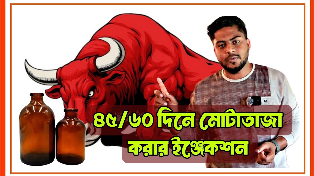 ৪৫/৬০ দিনে গরু মোটাতাজা হওয়ার ওষুধ।।  খামারিদের জানা খুবেই দরকার।। 🥵