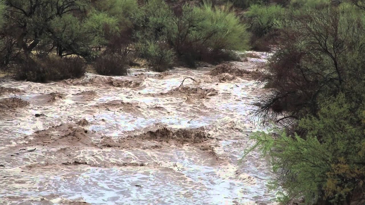 Tucson Arizona: Desert Flood