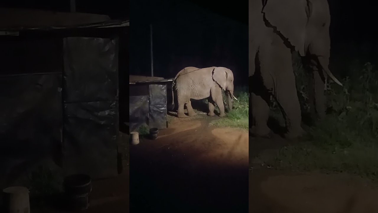 He visited me at night 