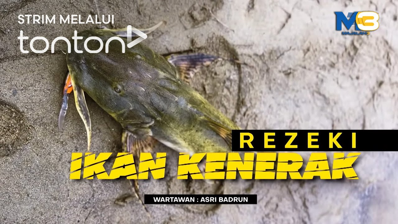 [FULL] Majalah 3 (2025) | Mon, Sep 22 - Rezeki Ikan Kenerak | Tonton