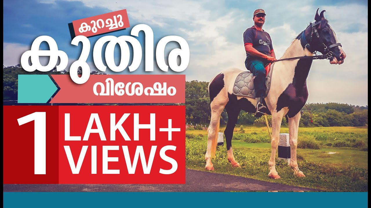 Horse farming in Kerala PART 1 കുതിരയെക്കുറിച്ച് അറിയേണ്ടതെല്ലാം.Interview with a horse lover.