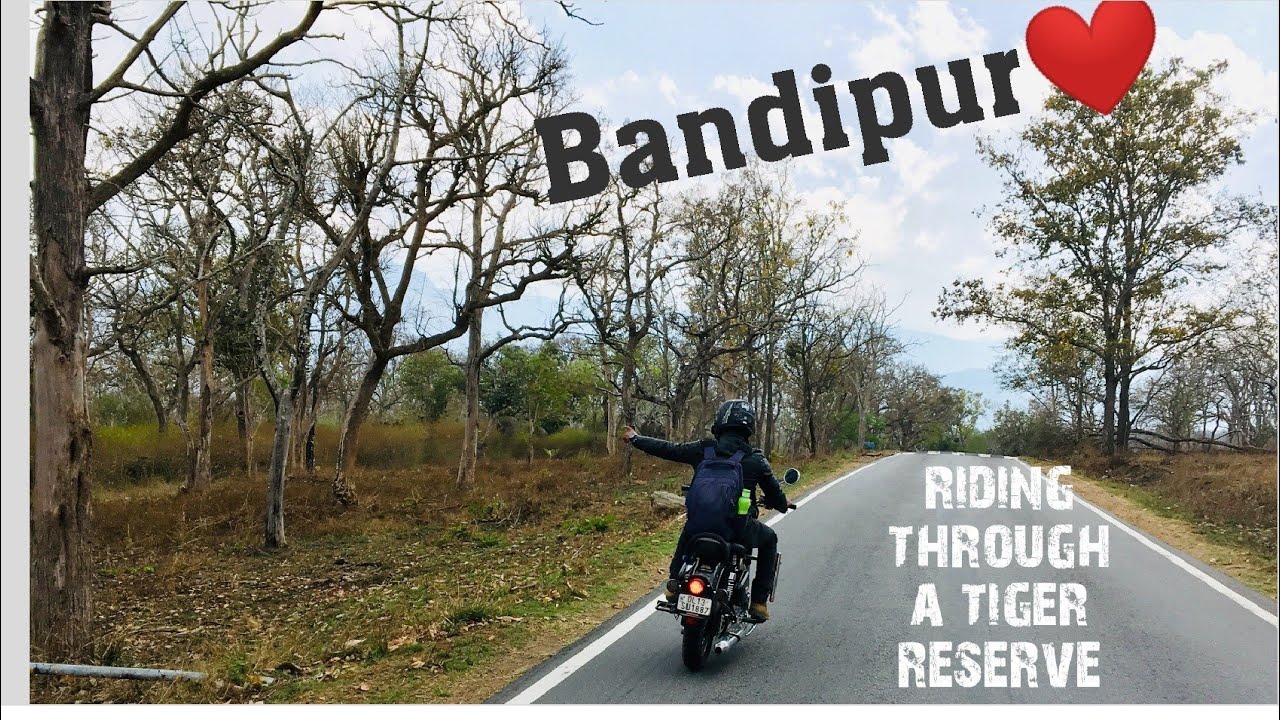 Bandipur Bike Ride|| Classic 350|| Bandipur Road trip