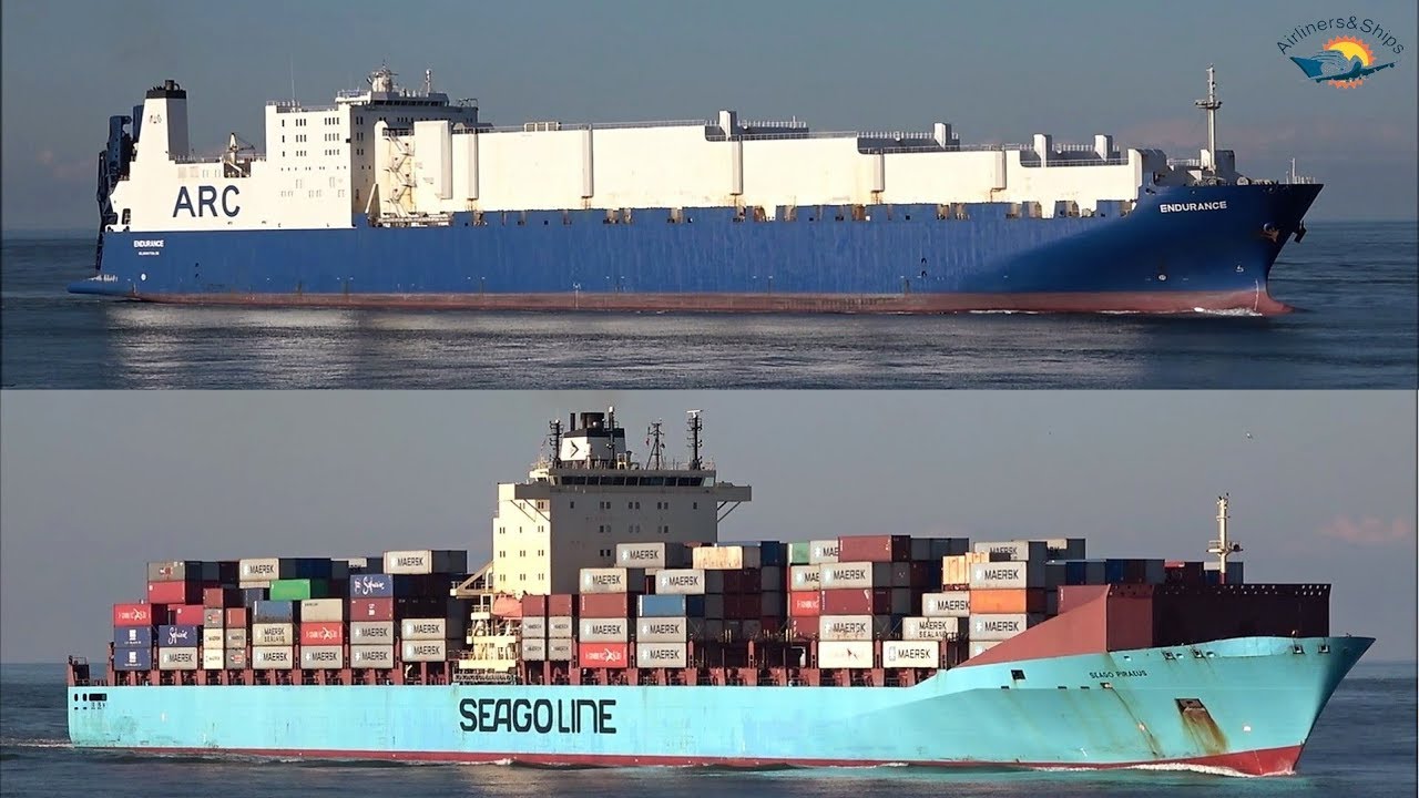 ROTTERDAM Port shipspotting 2019 - Afternoon Arrivals and Departures