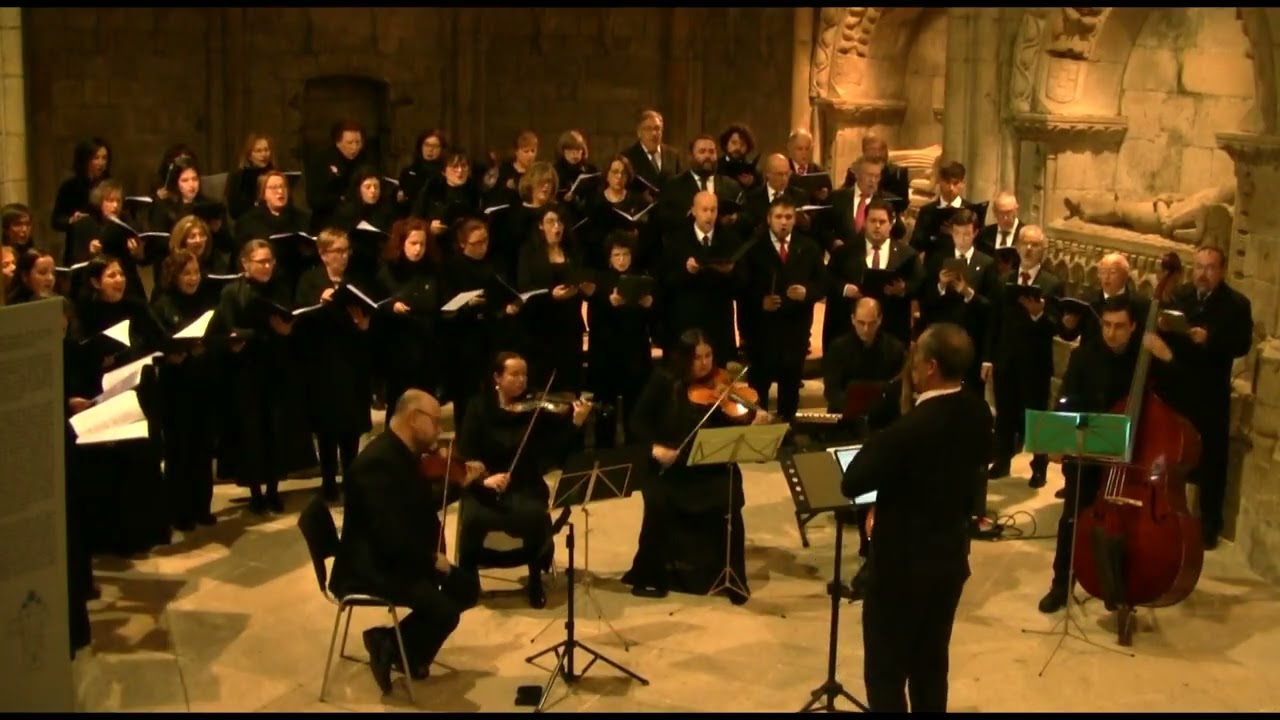Hallelujah. ORFEÓN TERRA A NOSA 