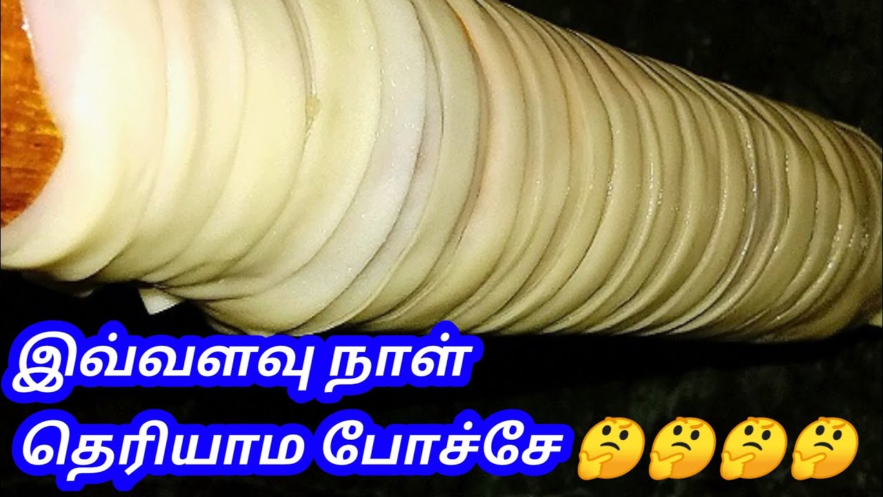 PAROTTA - PARATHA - HOW TO MAKE SOFT LAYERED PAROTTA - PAROTTA IN TAMIL