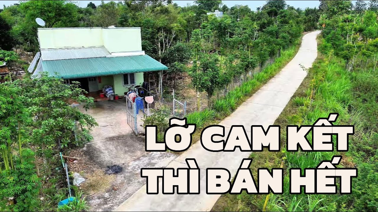 KHÔNG THỂ BÁN 1 NỬA | CHỦ QUYẾT BÁN HẾT NHÀ VƯỜN 2.856M2, 2 MẶT TIỀN SIÊU DÀI, VƯỜN TRÁI CÂY, AO CÁ