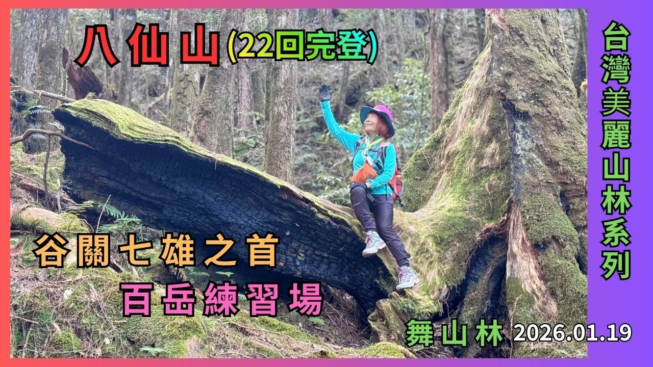 谷關七雄之首...八仙山(22回完登)2026.01.19百岳練習場