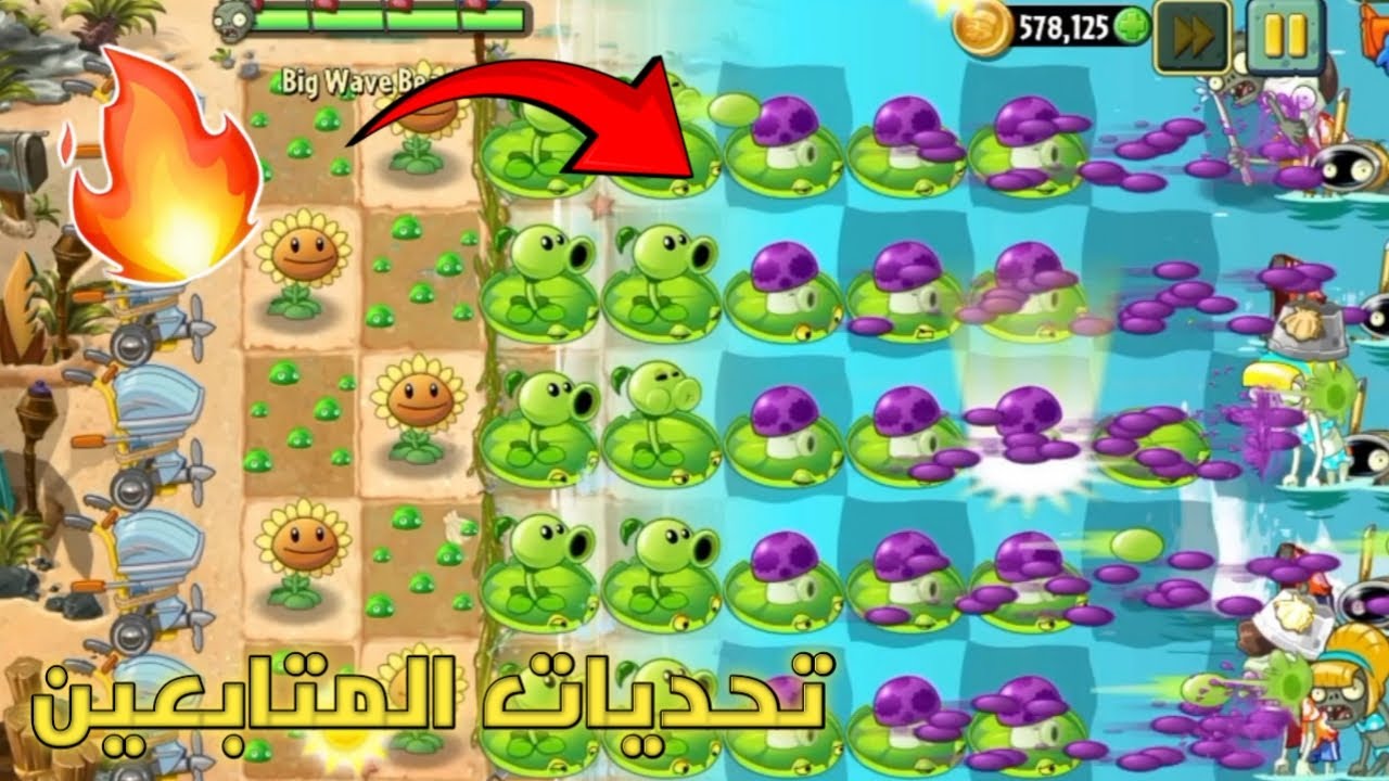 نواصل تحدي الفوز في عالم الشاطئ بنبتتين بس 😥🔥 | Plants vs zombies 2