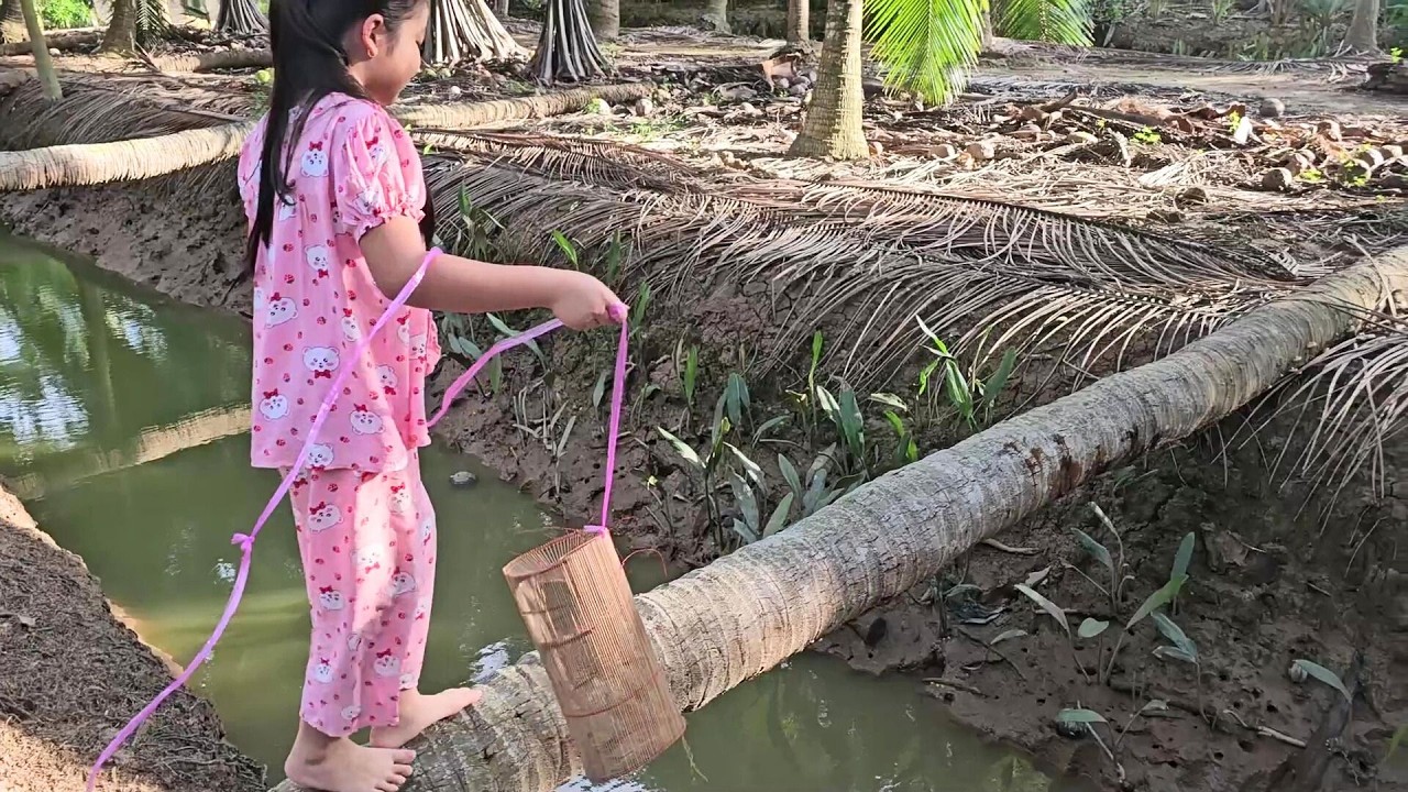 🐠 Muội đi đặt lợp bắt cá 💖 Xí Mụi Food 1398