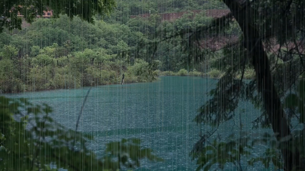 The beautiful little lake is raining(102) , sleep, relax, meditate, ASMR, Real Shot