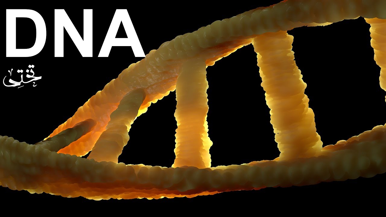 DNA | Adeel Imtiaz | Takhti Online