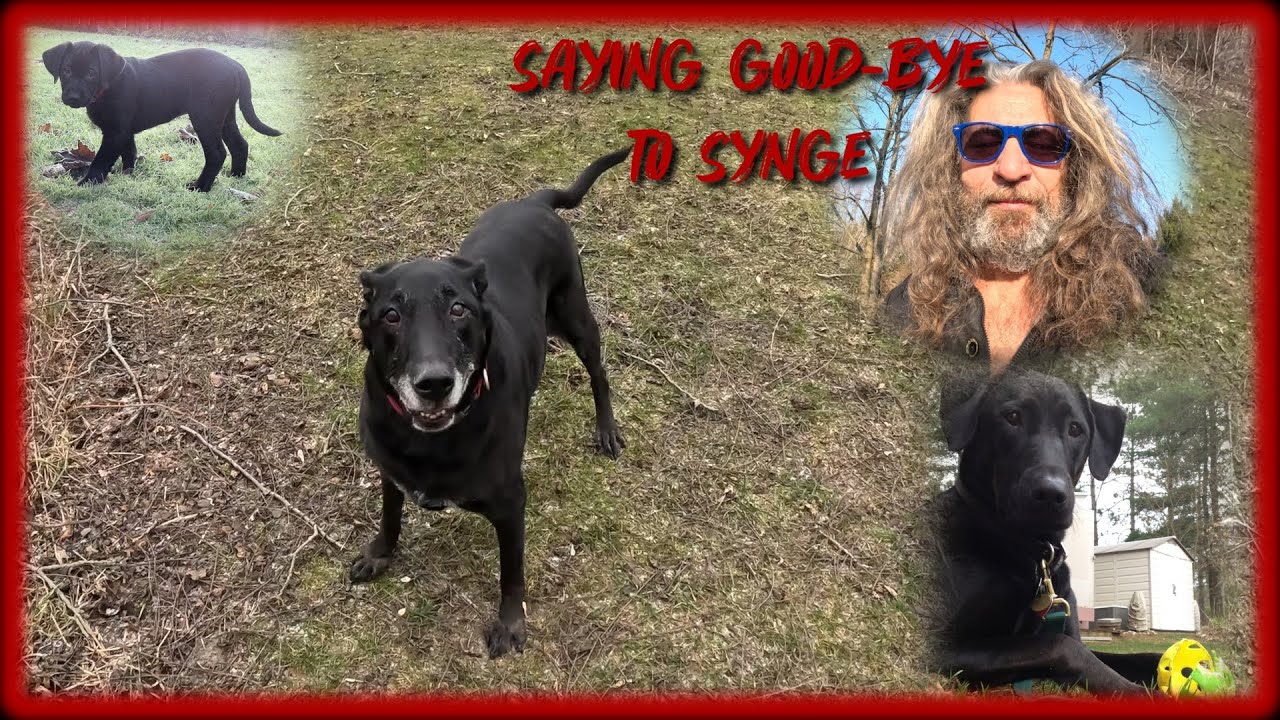 Saying Good-bye to  Synge