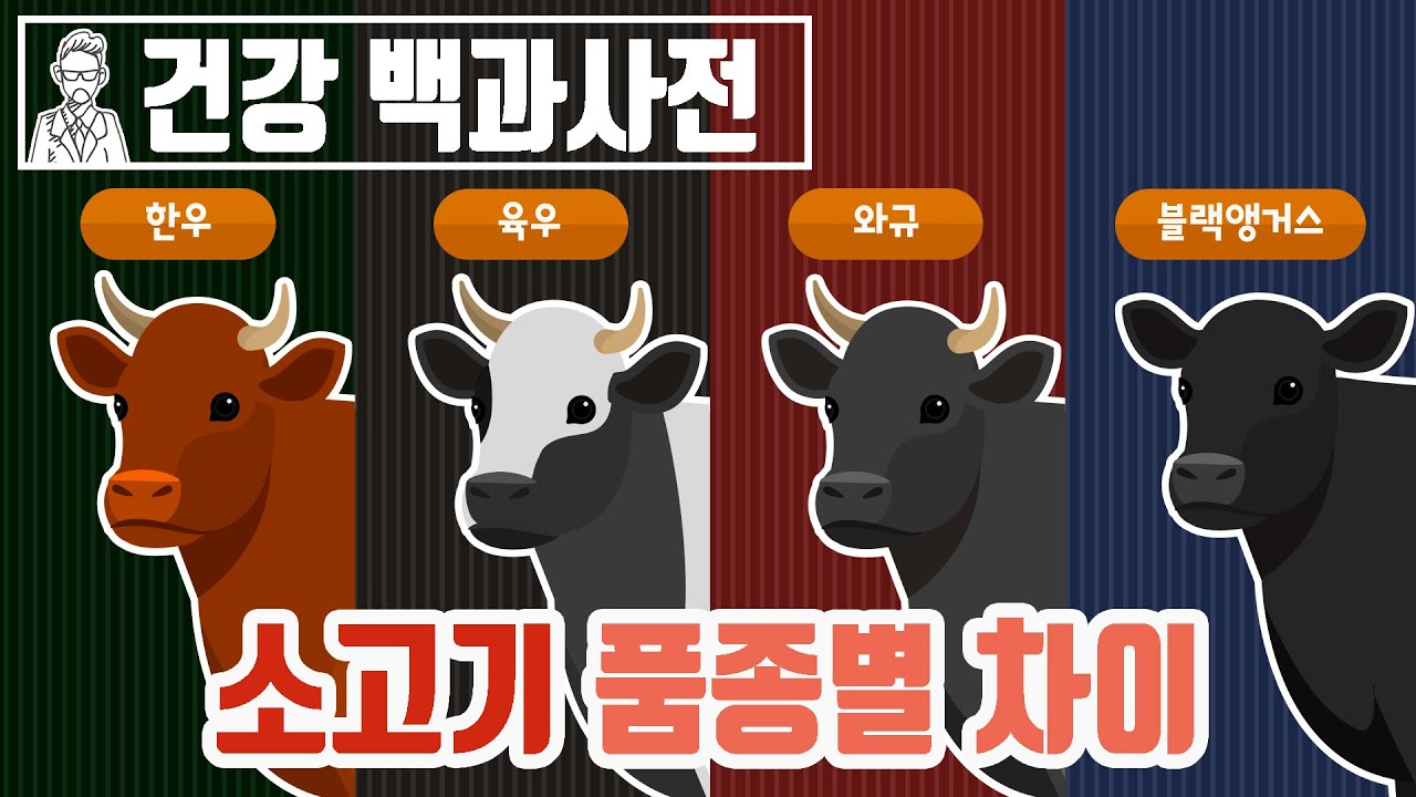 한우, 육우, 블랙앵거스, 와규까지 소고기 품종 마다 어떤 차이가 있는걸까? @세모지