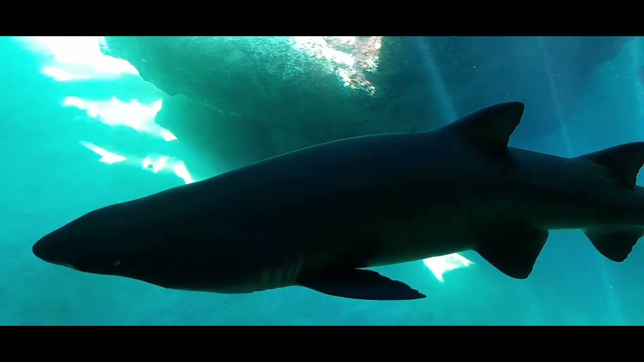 Khanya's birthday weekend