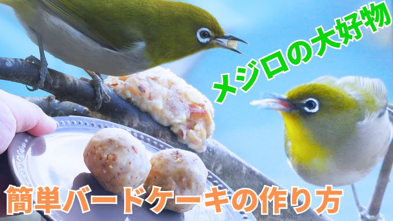 メジロの大好物！簡単バードケーキの作り方