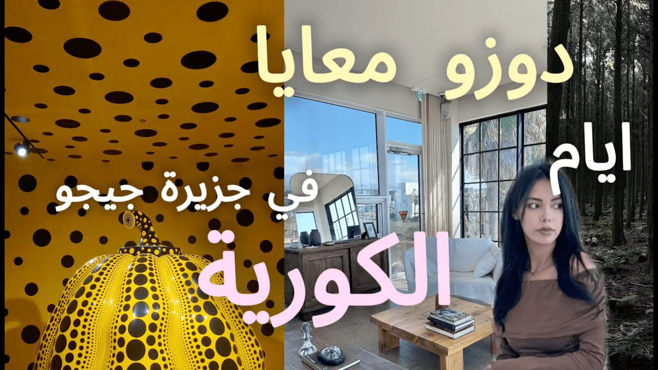 اخر الايام في جزيرة جيجو الكورية/ متحف كلشي فيه حيّ، غابة twilight 🤯 وأول مرة نذوق الرامن الياباني 🍜
