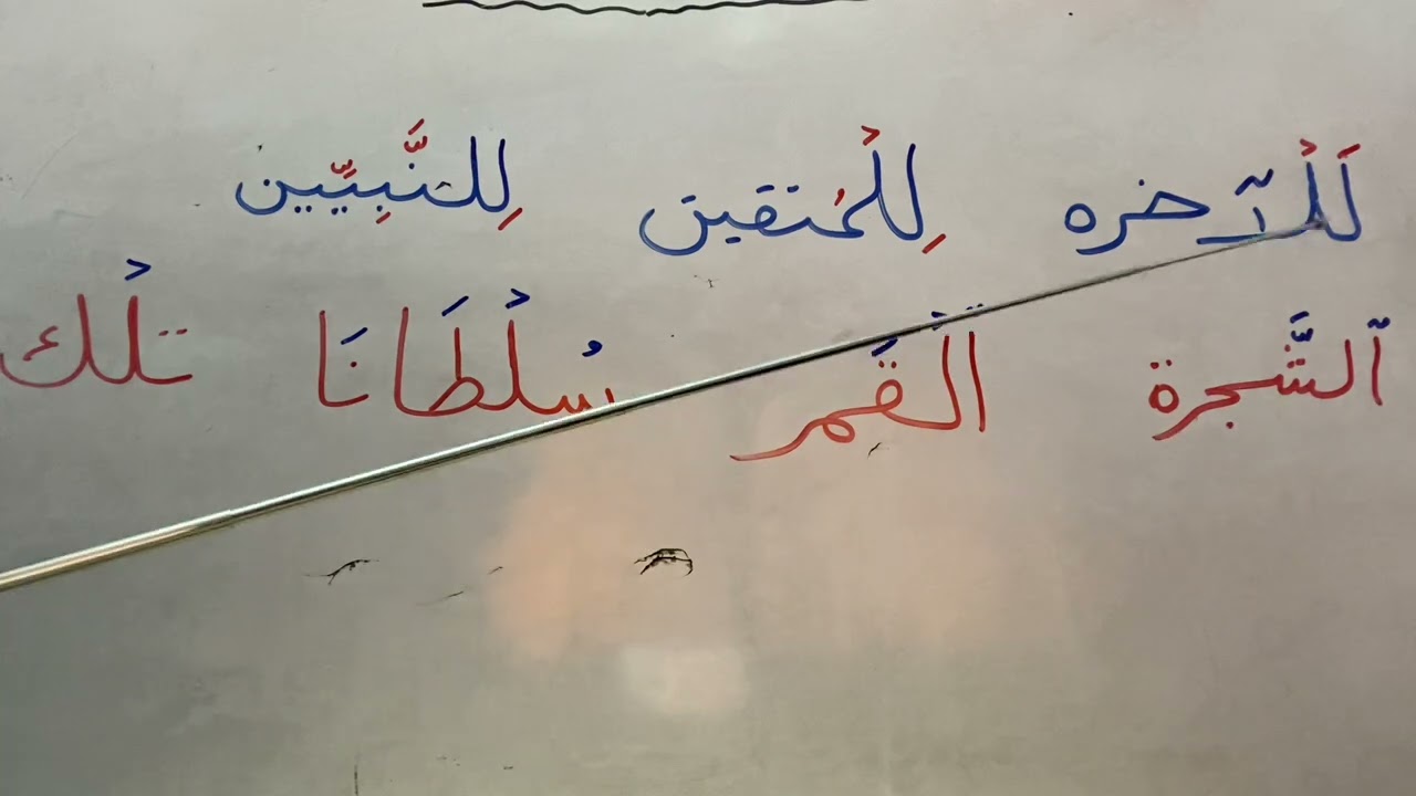 قليل اللي بيعرف نوع اللام في الكلمات دي🌳🌳