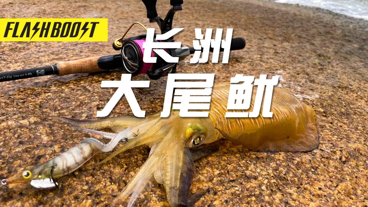 釣魚要到島上釣，釣魷魚要到長洲島釣，FIT魷技術分享