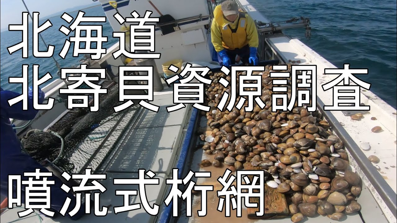 噴流式桁網　ほっきがい資源調査