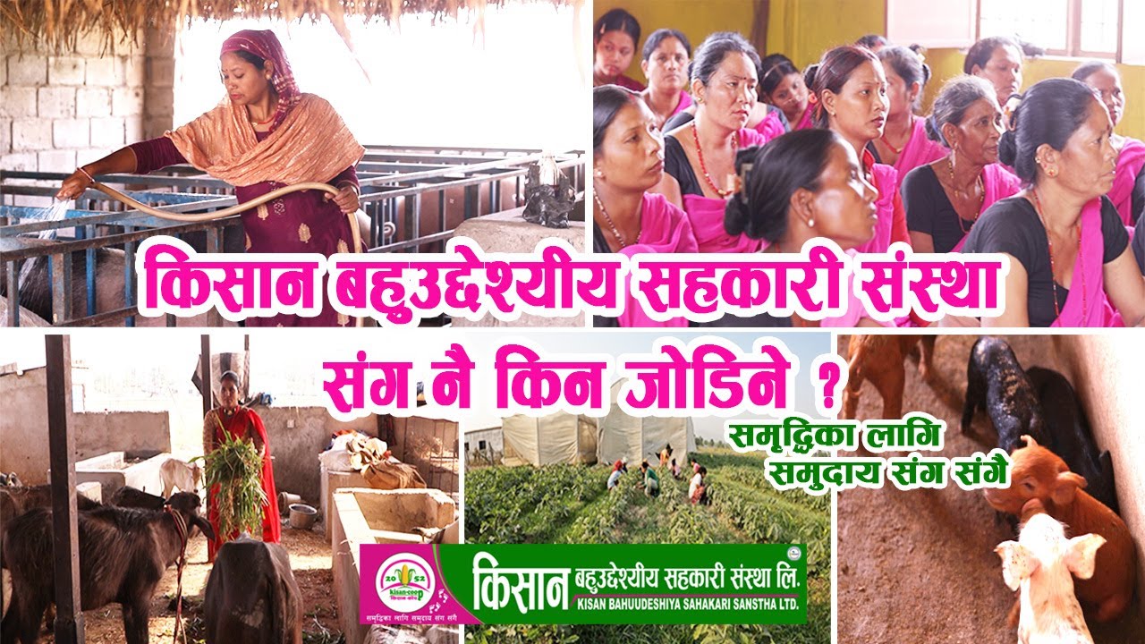 How Kisan Bahuudeshiya Sahakari Sanstha works ? || Kisan Coop ||