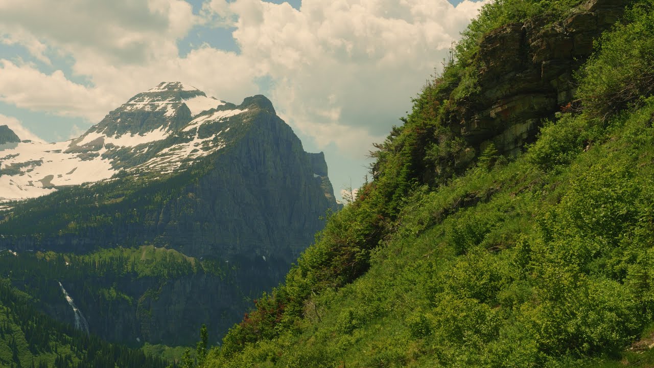 a film about figuring it out