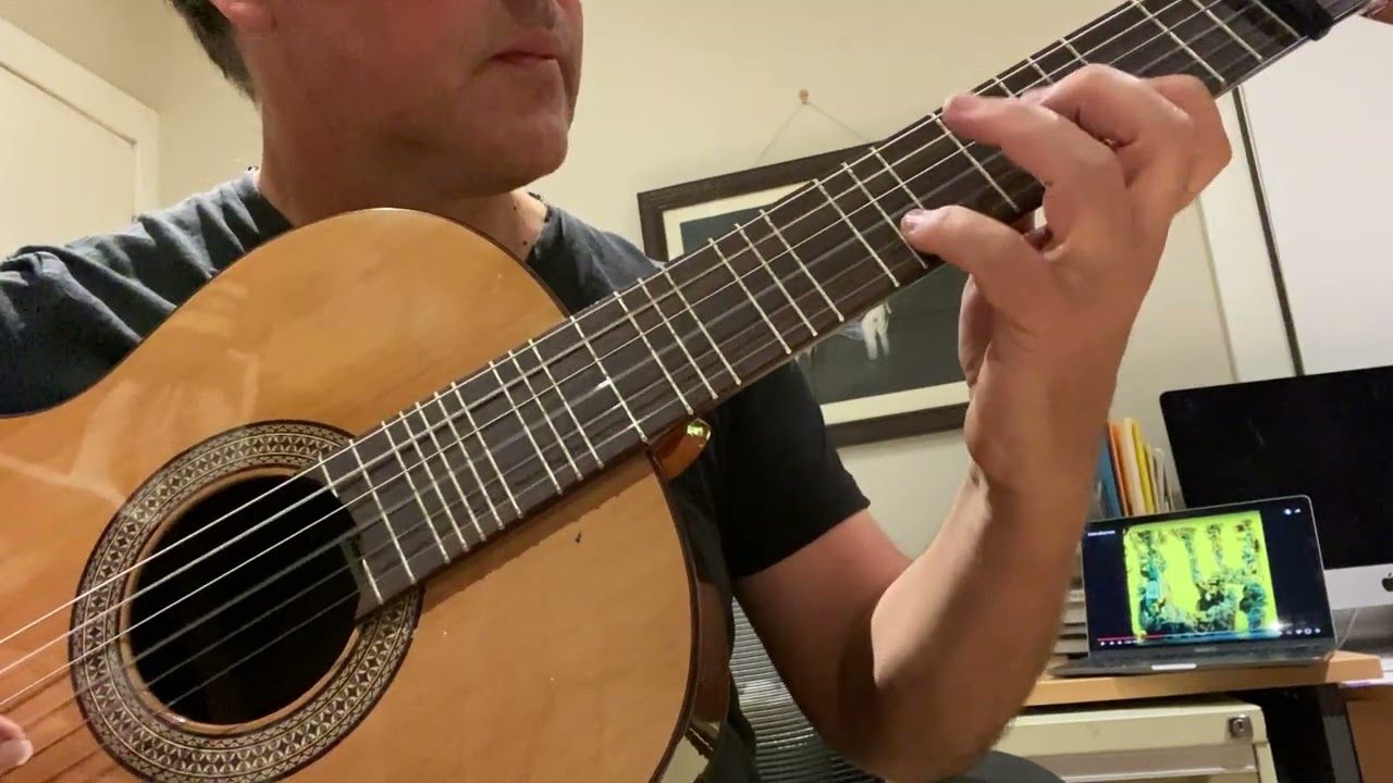 'Static Electricity'  by King Gizzard and the Lizard Wizard | Classical Microtonal Guitar