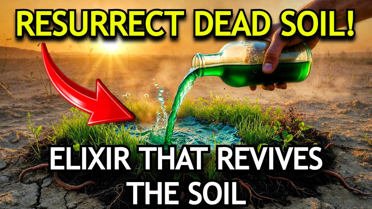 Dead Soil Comes Back to Life Fast | Ancient Liquid Formula That Fixes Soil Without Fertilizers