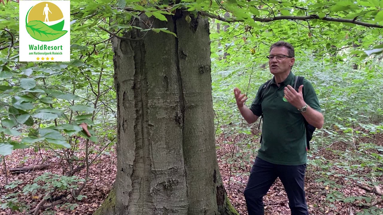 Was bringt eine Auszeit in der Natur?