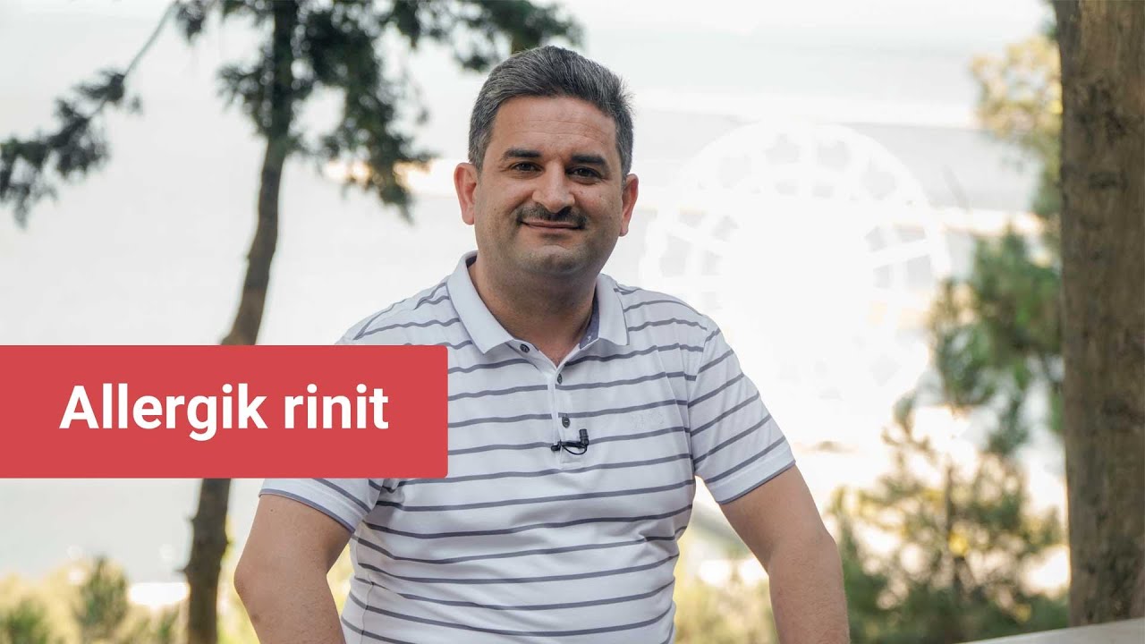 Allergik rinit 
