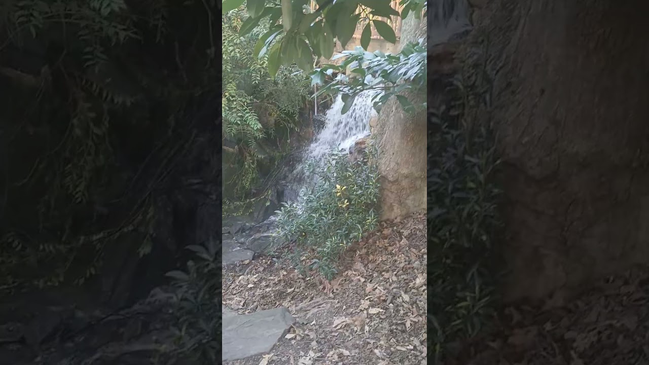 Hatcher Gardens Waterfall