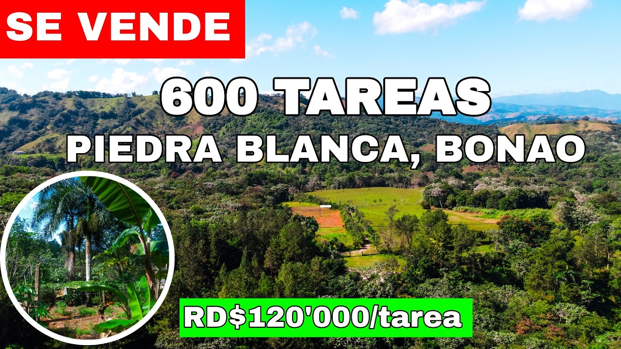 Piedra Blanca | Finca de 600 Tareas en Venta en Bonao | Inversión Agrícola y Eco-Turística