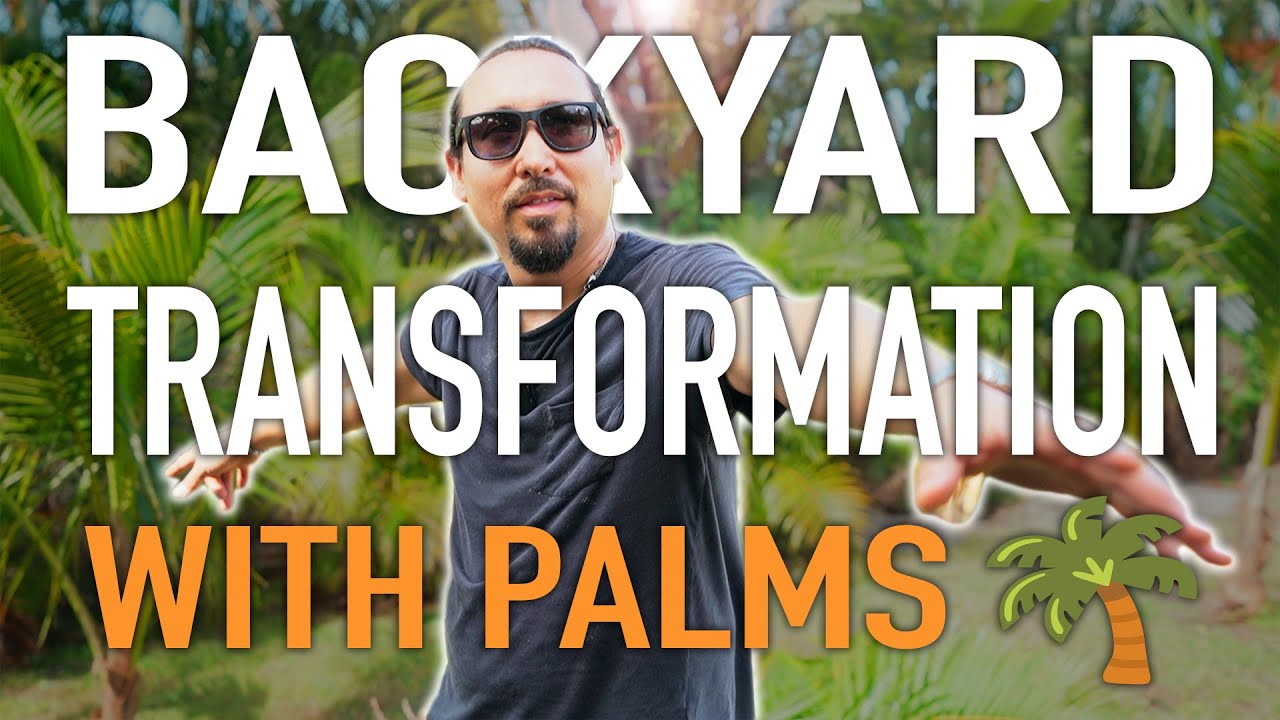 Backyard Transformation with PALMS
