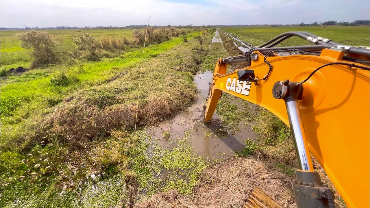  LIMPEZA GERAL NA ROÇA 🚜 | Escavadeira foi até o VALETÃO PRINCIPAL , 5 final 