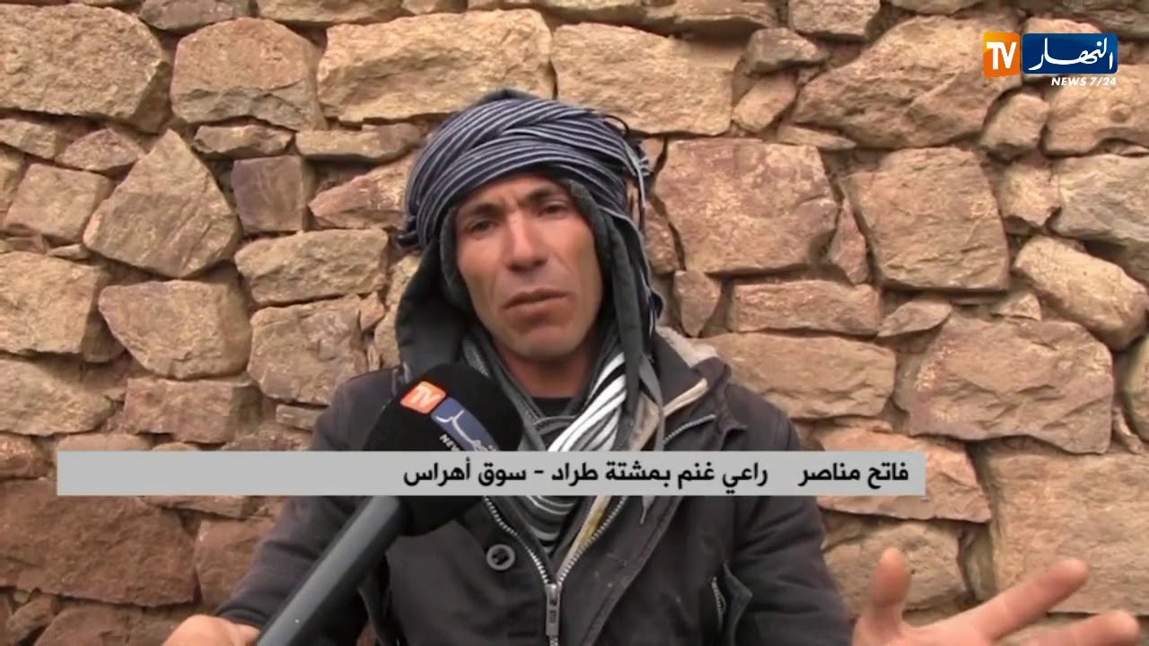 سوق اهراس: فاتح..   راعي غنم يواجه البرد القارس في بيئة جبلية قاسية