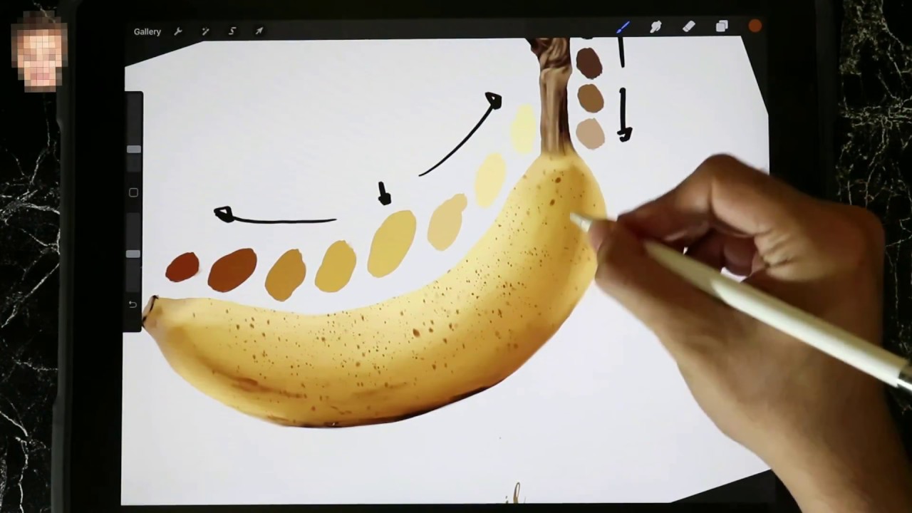 Pex-cil [ STUDY ] เผยเคล็บลับ เริ่มต้นลงสียังไง ให้เทพ! | ด้วยโปรแกรม Procreate |