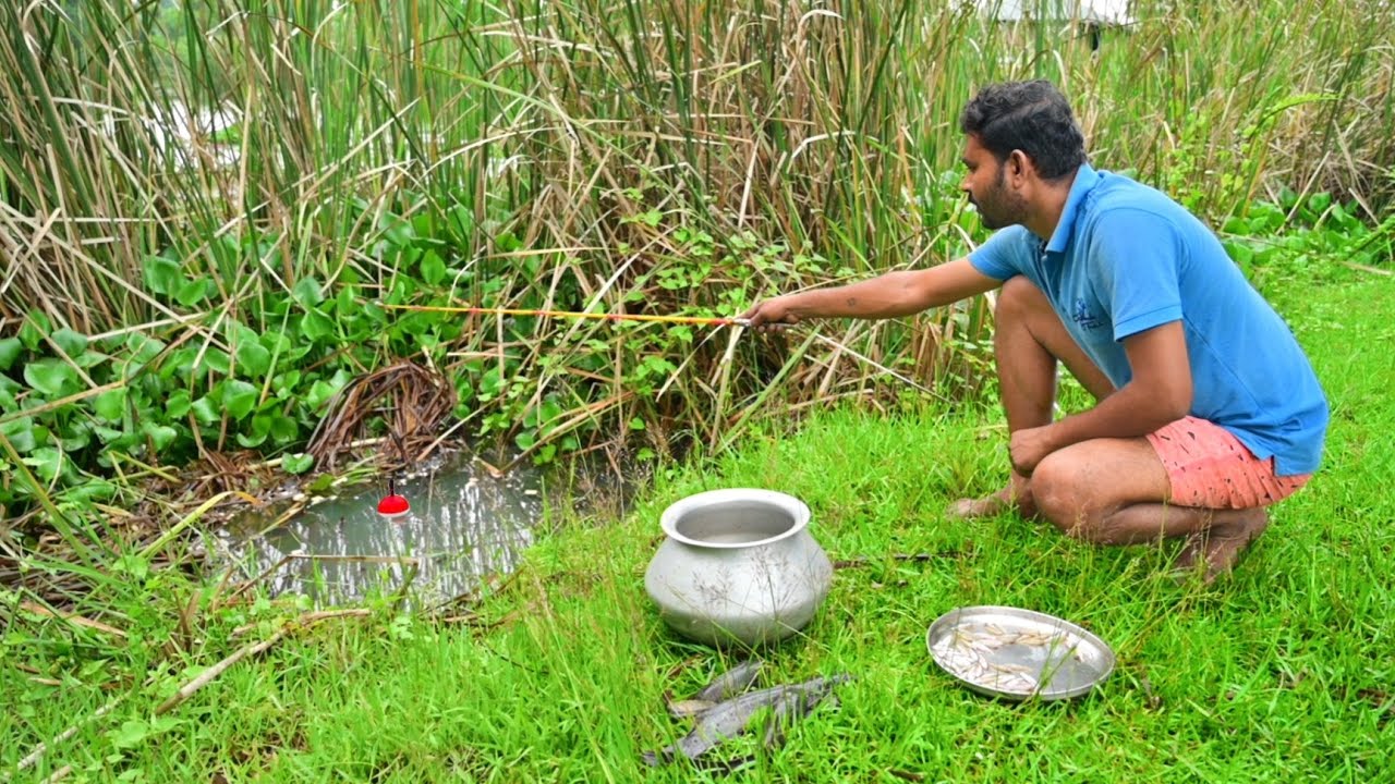 Fishing Video || We should learn all the fishing techniques from our little Brother The more I see